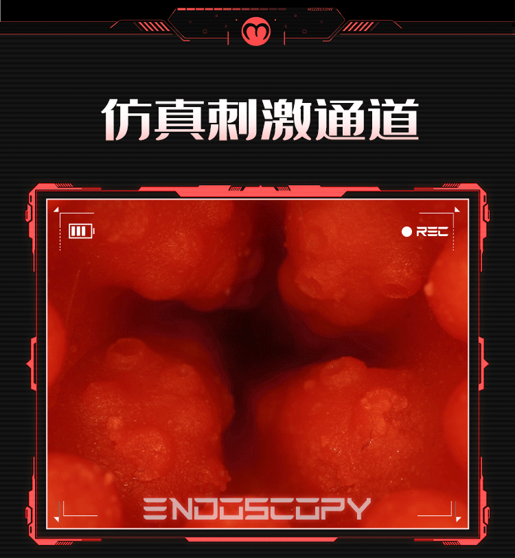 拯救者(图13)