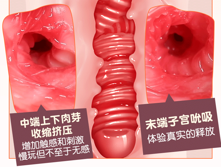 6976978540531	猫耳妹妹(图7)