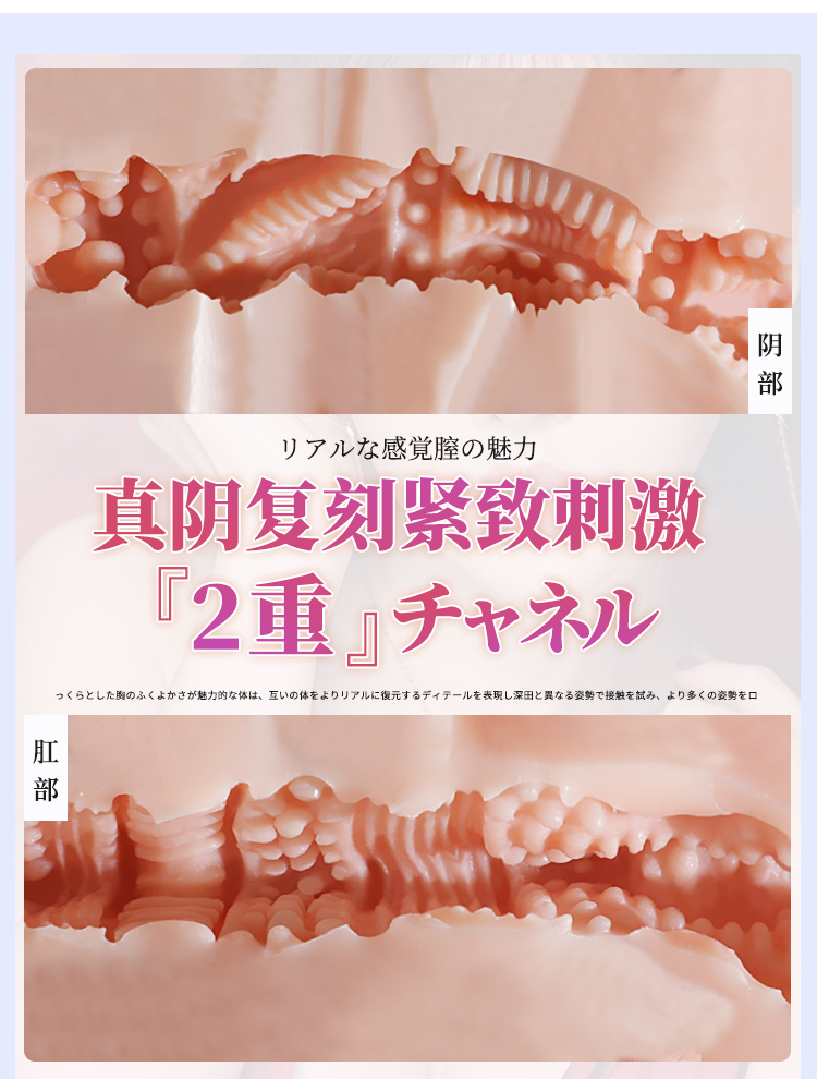 6937486612981	新垣明美(图12)