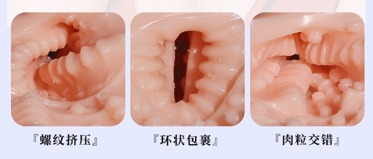 6937486612981	新垣明美(图13)