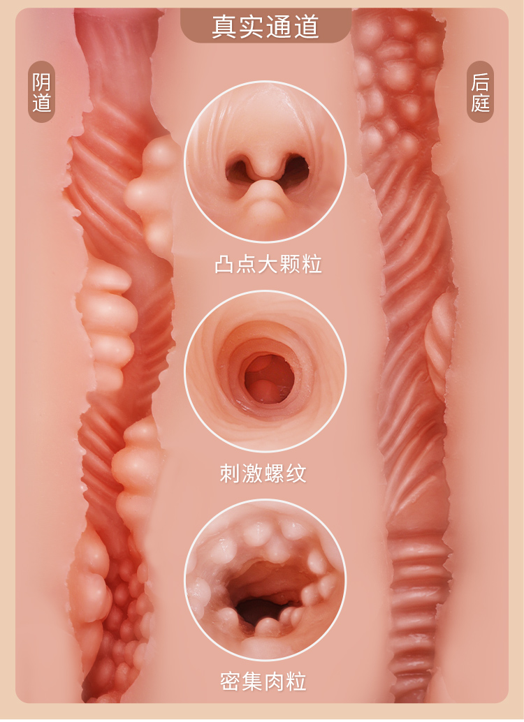 6974408083801铃木梨花升级款(图10)